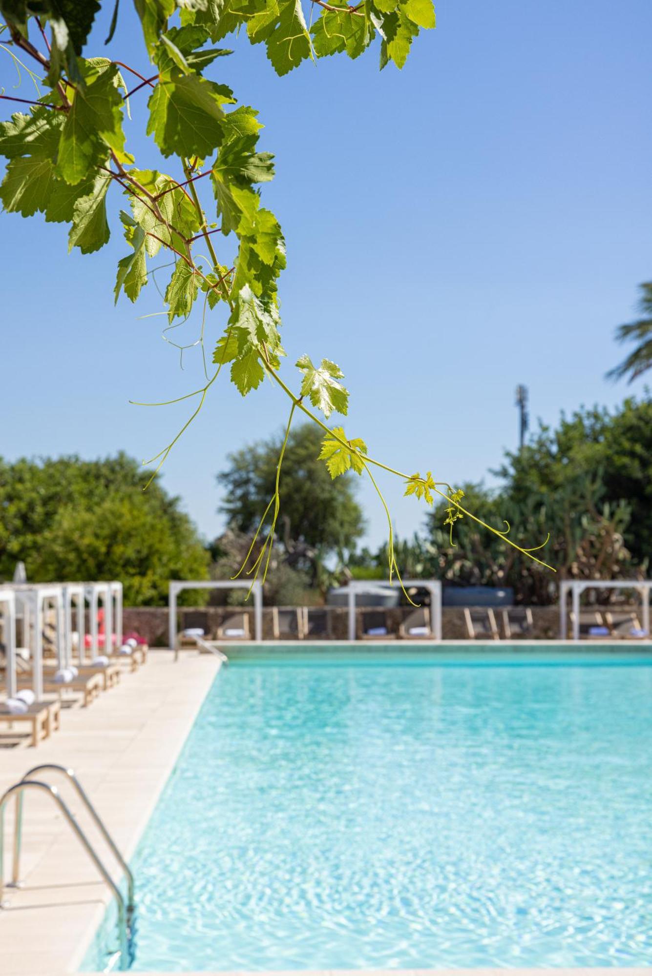 Masseria Malvindi メザーニェ エクステリア 写真